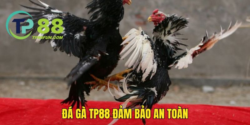 Không gian game này đảm bảo tính bảo mật tốt cho hội viên