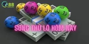 Song thủ lô là gì?
